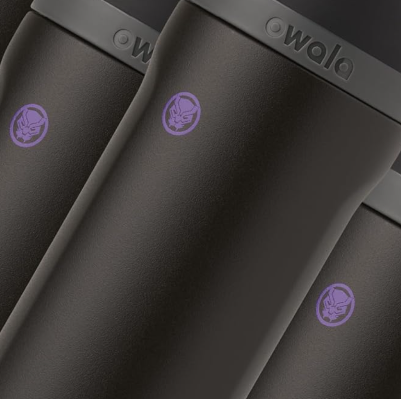 Owala Marvel FreeSip WaterBottle – 24oz Black Panther