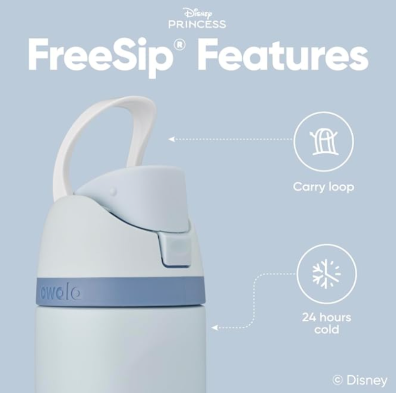 Owala Disney Princess FreeSipWater Bottle – 24oz Cinderella
