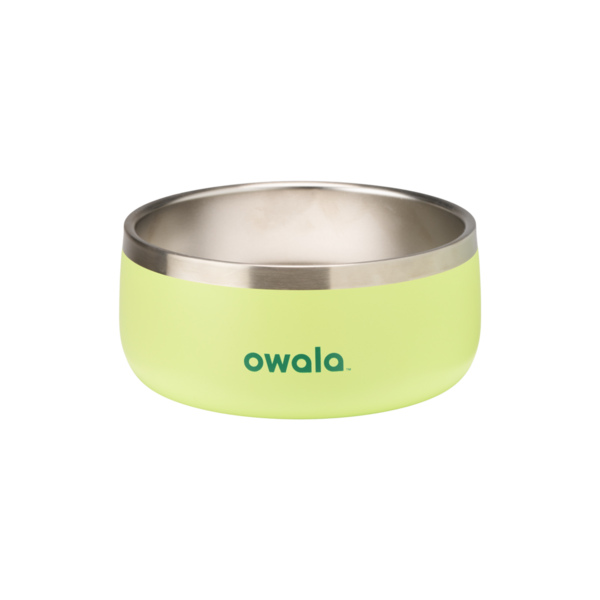 Owala Pet Bowl