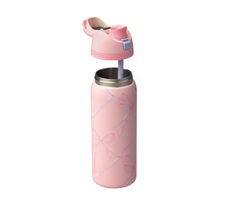 Owala 32oz FreeSip StainlessSteel Water Bottle – Sugar PlumFairy